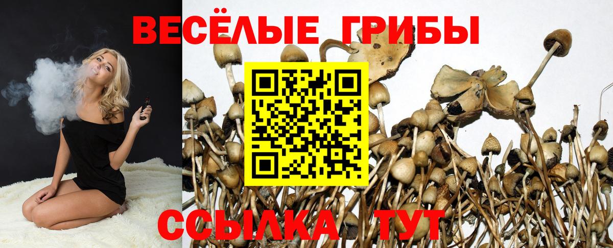 Галлюциногенные грибы Cubensis  Галлюциногенные грибы Cubensis  наркота  Вход с VPN  Наро-Фоминск 
